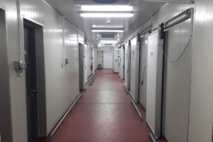 Alpha Celsius - Cold Room in Singapore